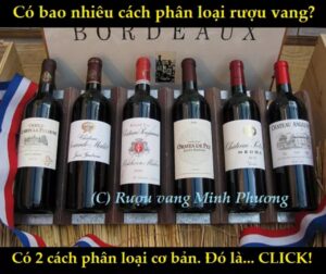 Tìm hiểu những điều chưa biết về rượu vang cùng rượu vang Minh Phương (P2)