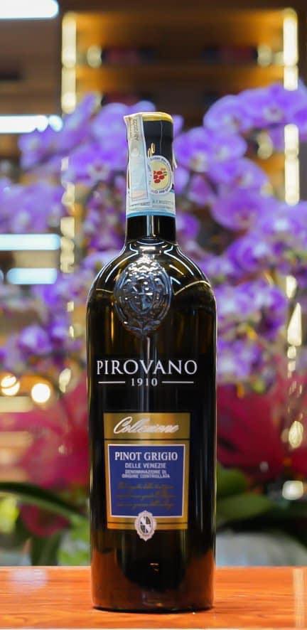 Pinot Grigio-1